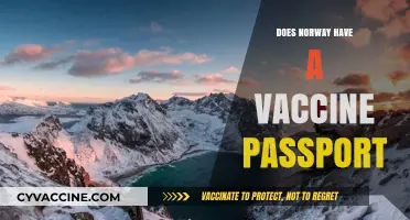 Norway's Vaccine Passport System: Requirements, Usage, and Travel Guidelines