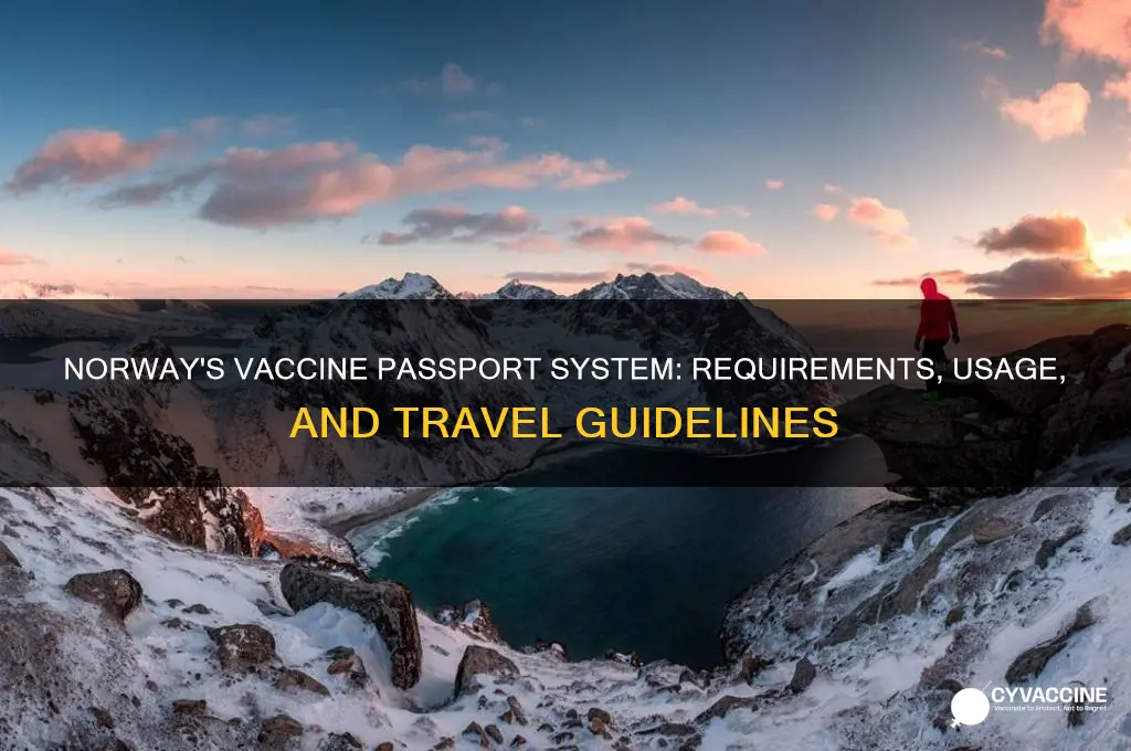 does norway have a vaccine passport