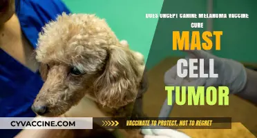 Canine Melanoma Vaccine: A Cure for Mast Cell Tumors?