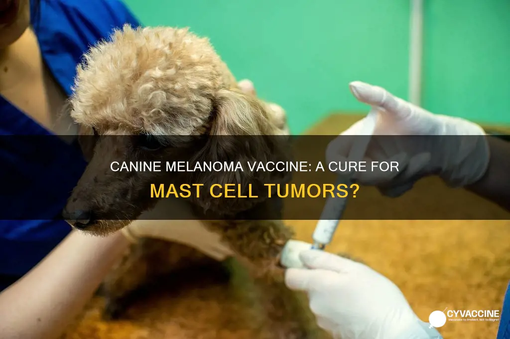 does oncept canine melanoma vaccine cure mast cell tumor