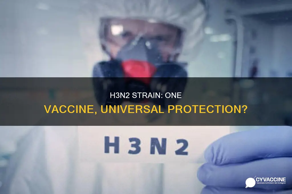 does one h3n2 vaccine protect against all h3n2