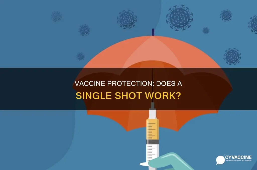 does one shot of the vaccine protect you