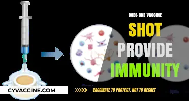 Single Vaccine Dose: Partial Immunity or Full Protection?