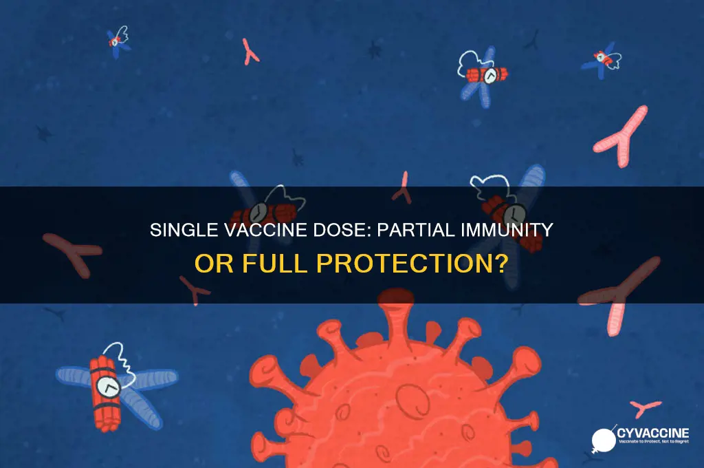 does one vaccine shot provide immunity