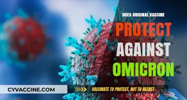 Original COVID-19 Vaccines: Omicron Protection Efficacy Explained