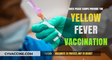 Peace Corps: Who Provides the Yellow Fever Vaccine?