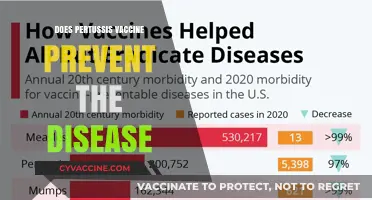 Does the Pertussis Vaccine Effectively Prevent Whooping Cough Disease?