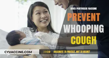 Does the Pertussis Vaccine Effectively Prevent Whooping Cough?