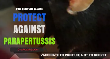 Pertussis Vaccine: Does It Offer Protection Against Parapertussis?