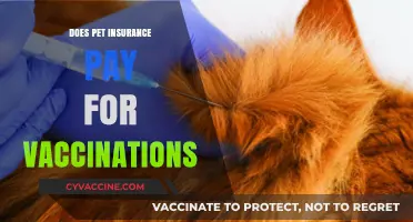 Does Pet Insurance Cover Vaccination Costs? A Comprehensive Guide