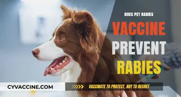 Does the Pet Rabies Vaccine Truly Prevent Rabies in Pets?
