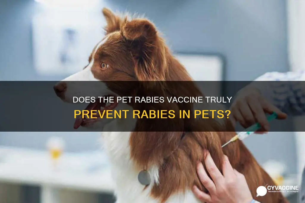 does pet rabies vaccine prevent rabies