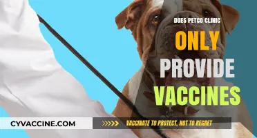 Petco Clinic Services: Beyond Vaccines – What Else Do They Offer?