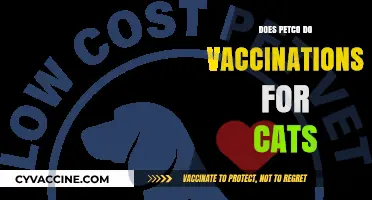Does Petco Offer Cat Vaccinations? Services, Costs, and What to Expect