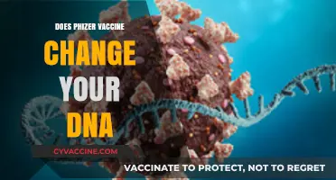 Pfizer Vaccine and DNA: Separating Fact from Fiction