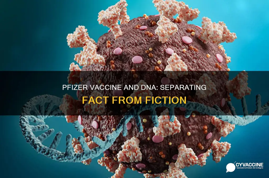 does phizer vaccine change your dna