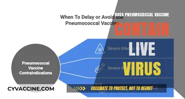 Pneumococcal Vaccine: Live Virus or Not? Unraveling the Facts