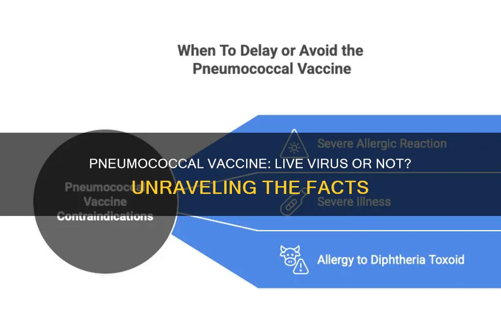 does pneumococcal vaccine contain live virus