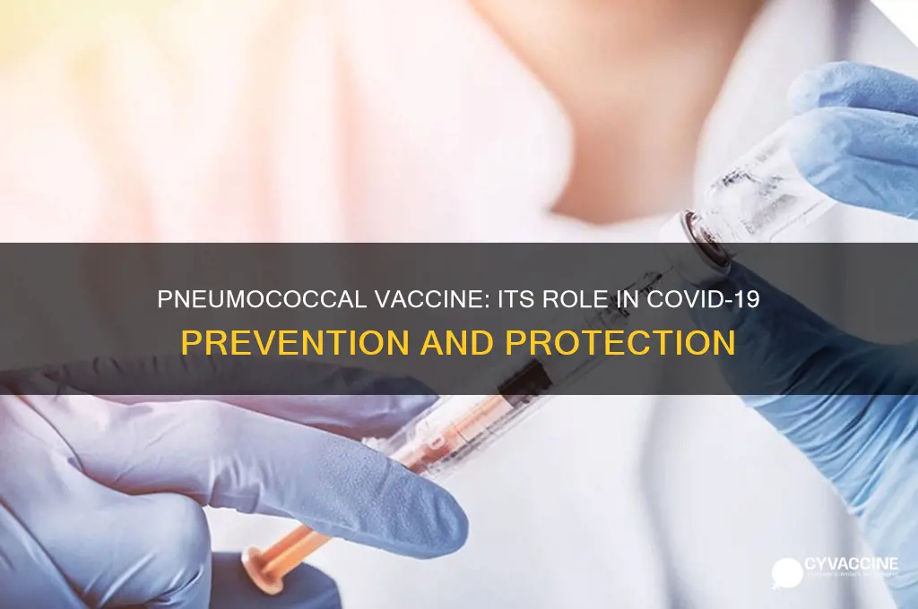 does pneumococcal vaccine help with coronavirus
