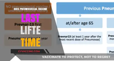 Does the Pneumococcal Vaccine Provide Lifelong Immunity? What You Need to Know