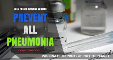 Pneumococcal Vaccine: Does It Prevent All Pneumonia Cases?