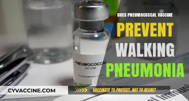 Can Pneumococcal Vaccine Protect Against Walking Pneumonia? Key Insights