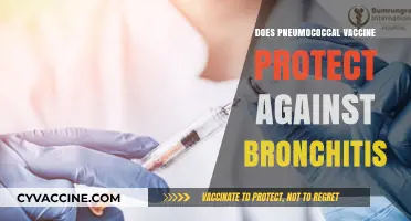 Pneumococcal Vaccine: Does It Shield Against Bronchitis? Unveiling the Facts