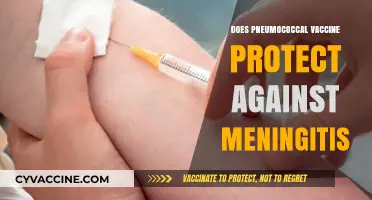 Pneumococcal Vaccine: Effective Defense Against Meningitis or Not?