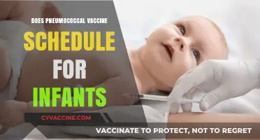 Pneumococcal Vaccine Schedule for Infants: Timing, Benefits, and Safety