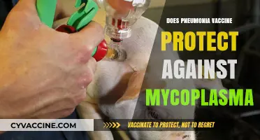 Pneumonia Vaccine: Does It Shield Against Mycoplasma Infections?