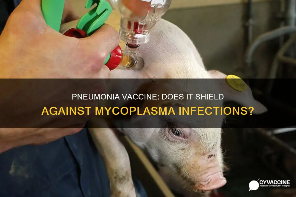 does pneumonia vaccine protect against mycoplasma