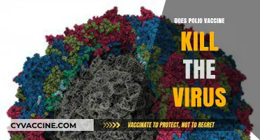 Polio Vaccine: Does It Eliminate the Virus or Prevent Infection?