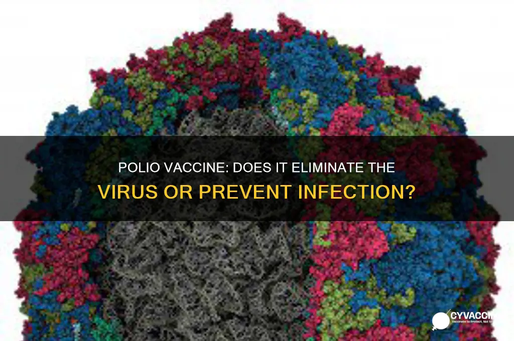 does polio vaccine kill the virus