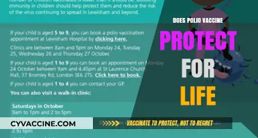 Does Polio Vaccine Offer Lifelong Immunity? Facts and Insights