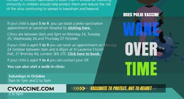 Does Polio Vaccine Protection Decline? Understanding Long-Term Immunity and Risks