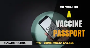 Portugal's Vaccine Passport: What Travelers Need to Know Now