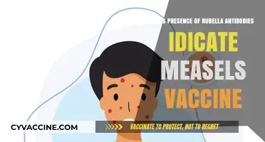 Rubella Antibodies: Measles Vaccine Indicator?