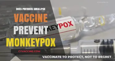 Smallpox Vaccine's Role: Can It Shield Against Monkeypox?