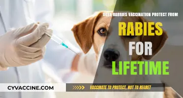 Rabies Vaccination: Lifetime Protection or Not?