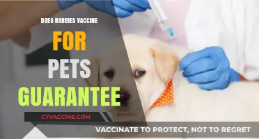 Does the Rabies Vaccine for Pets Guarantee Lifelong Protection?