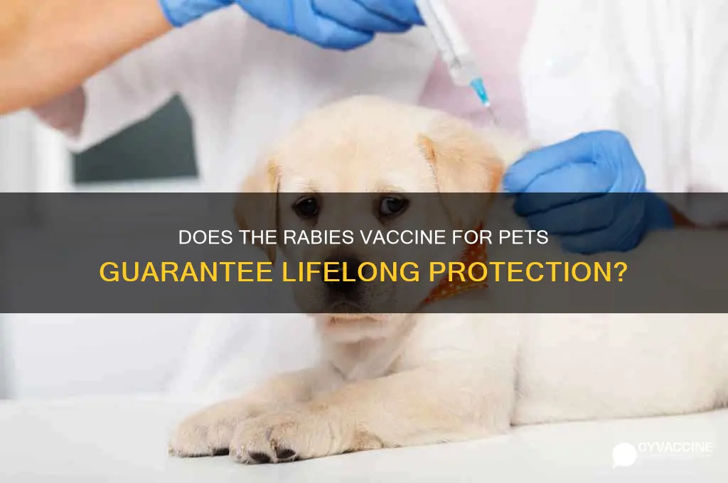 does rabbies vaccine for pets guarantee
