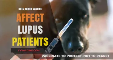 Rabies Vaccine Safety for Lupus Patients: What You Need to Know