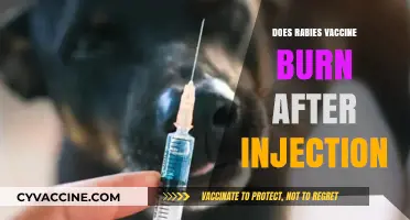 Rabies Vaccine Injection: Understanding Post-Shot Discomfort and Burning Sensation