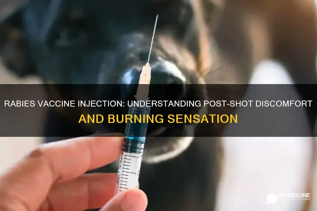 does rabies vaccine burn after injection