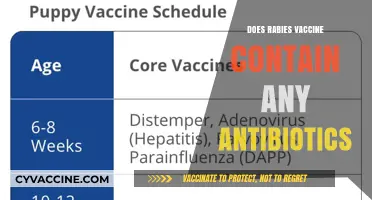 Rabies Vaccine and Antibiotics: Understanding the Components and Misconceptions
