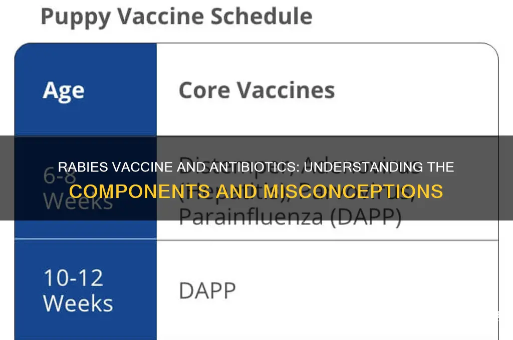 does rabies vaccine contain any antibiotics