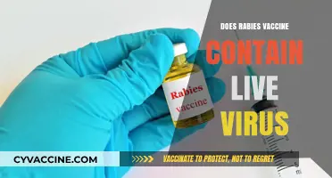 Does the Rabies Vaccine Contain Live Virus? Facts Explained