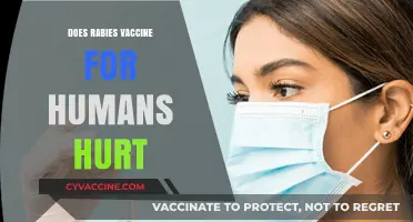 Does the Rabies Vaccine for Humans Cause Pain? What to Expect