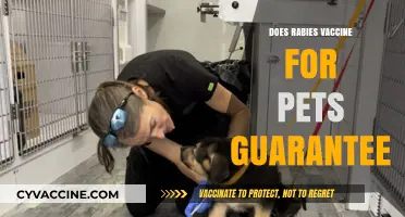 Rabies Vaccine for Pets: Does It Guarantee Full Protection?