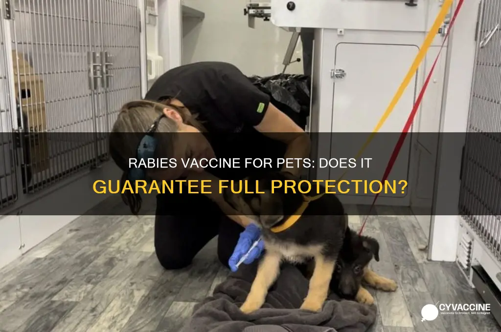 does rabies vaccine for pets guarantee